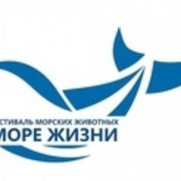 На Камчатке впервые проведут фестиваль морских животных «Море жизни»