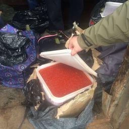 Контейнеры с икрой. Фото пресс-группы Погрануправления ФСБ России по Приморскому краю
