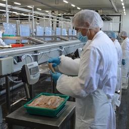 Завод под инвестквоты «Русский минтай» открылся в Приморье осенью прошлого года