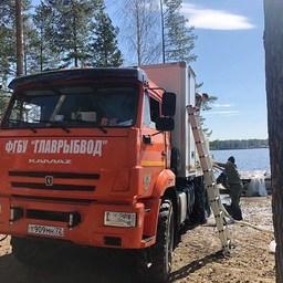 В Свердловской области запустили Кирюшкинское рыбоводное садковое хозяйство. Фото пресс-службы Нижне-Обского филиала Главрыбвода