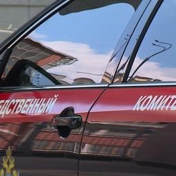 Председателю Следственного комитета России доложат о ситуации со строительством трассы в Волгоградской области. Фото пресс-службы СК РФ