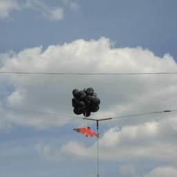 Акция «Прощание с лососем». Москва, май 2008 г.