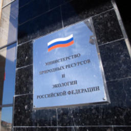 Минприроды сообщило об утверждении нового состава Комиссии по редким и находящимся под угрозой исчезновения животным, растениям и грибам. Фото пресс-службы министерства