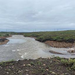 Специалисты проанализировали пробы с водных объектов Норильского промышленного района. Фото пресс-службы минприроды Красноярского края