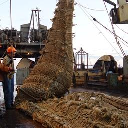Выгрузка улова на научно-исследовательском судне «ТИНРО»