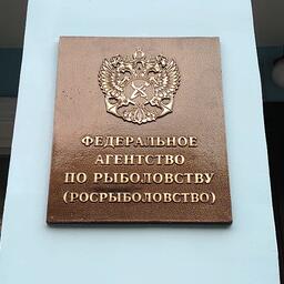 Росрыболовство ответило на обращение по крабовым аукционам от Общественного совета при ведомстве