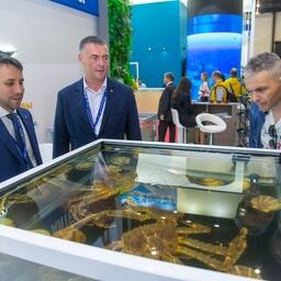 «Антей» привлекал посетителей аквариумом с крабами