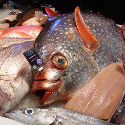 The European Seafood Exposition, Брюссель, май 2011 г. 