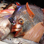The European Seafood Exposition, Брюссель, май 2011 г. 
