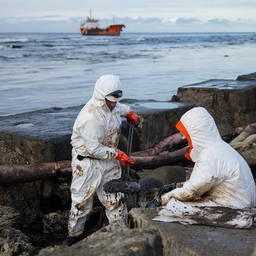 Ведется сбор разлитых нефтепродуктов. Фото пресс-службы правительства Сахалинской области