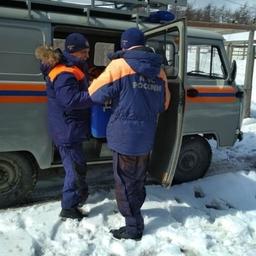 Беспомощный нерпенок обрел приют в колымском зоопарке. Фото пресс-службы магаданского филиала ДВРПСО МЧС