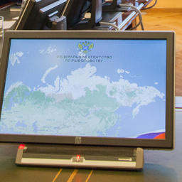 Росрыболовство готовится уйти от плановых проверок