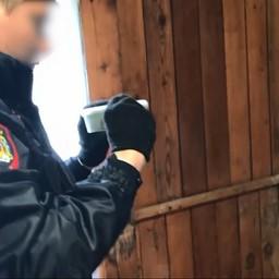 Ущерб, причиненный водным биоресурсам, оценивается более чем в 30 млн рублей. Кадр видео пресс-службы МВД России