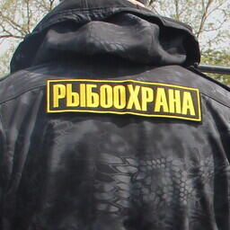 Фигурант утверждал, что его приятель не нападал на рыбинспектора