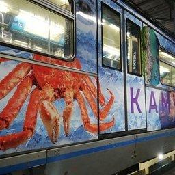 При оформлении вагонов использовали и образы морских обитателей. Фото пресс-службы полпреда президента в ДФО