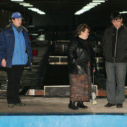 Выпуск мальков кеты и симы. Хасанский район, Приморский край, апрель 2009 г.