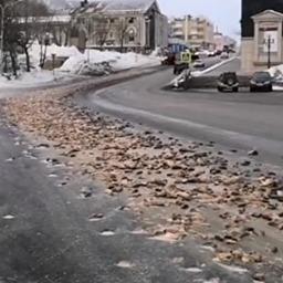 На проезжей части оказалось около 8 тонн рыбьих голов и внутренностей. Скриншот видео со страницы Facebook Виталия Иваненко