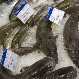 Поставщики рыбопродукции намерены отстоять свои интересы