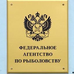 Правительство уточнило порядок согласования с Росрыболовством деятельности по предупреждению чрезвычайных ситуаций природного и техногенного характера