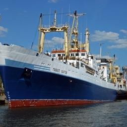 На БМРТ «Павел Батов» смонтировали новую установку по производству рыбной муки, а также ввели в строй линия, позволяющая отсортировывать прилов сельди от улова минтая. Фото пресс-службы «Русской рыбопромышленной компании»