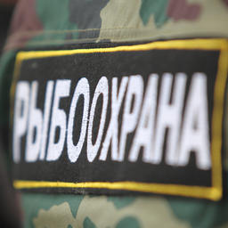 Федеральное агентство по рыболовству создает информационную систему «Рыбоохрана»
