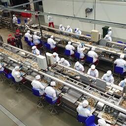 Производство рыбной продукции в Калининградской области