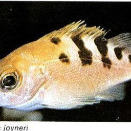 Уловы растут и на море, и на суше
