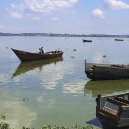 Рыбный промысел на озере Виктория. Фото Undercurrent News