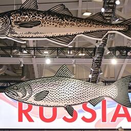 Россия традиционно участвует в выставке объединенным национальным стендом. Фото предоставлено ESG