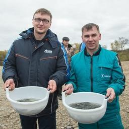 В Зею выпустили 217 тыс. мальков сазана. Фото пресс-службы ООО «Газпром переработка Благовещенск»