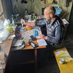Работа в полевой лаборатории. Фото предоставлено участниками экспедиции