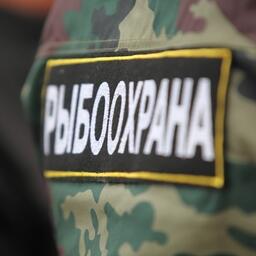 Президент подписал федеральный закон, уточняющий полномочия сотрудников рыбоохраны