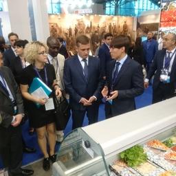 О крабовых деликатесах рассказали и руководителю Росрыболовства Илье ШЕСТАКОВУ