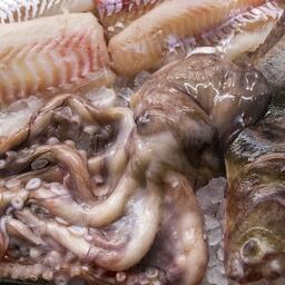 В российском экспорте продукции российской продукции животного происхождения за полгода наибольшие объемы отгрузок приходятся на рыбу и морепродукты. Архивное фото