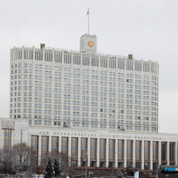 Назначение заместителей главы Росрыболовства хотят вернуть Правительству