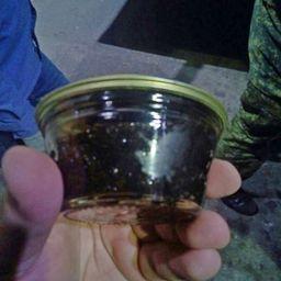 Задержанная на границе продукция. Фото пресс-службе Погрануправления ФСБ России по Республике Калмыкия и Астраханской области