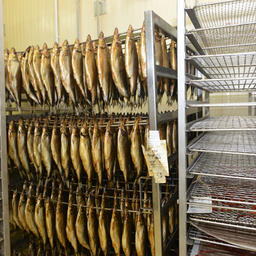 Московский завод компании «Антей» выпускает продукцию под брендом «Русская Рыбная Фактория». Фото пресс-службы ФАР
