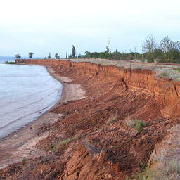 Берег Волгоградского водохранилища. Фото С. В. Божева («Википедия»)
