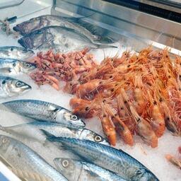 На выставке представлены разнообразные рыба и морепродукты. Фото пресс-службы ESG