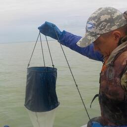 Ученые исследуют популяцию артемии в Алтайском крае. Фото пресс-службы ВНИРО