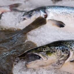 На маркетплейсе «Своё Родное» представлена в том числе и рыбная продукция