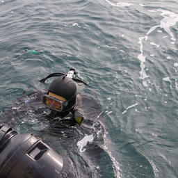В планах компании - расширение производства морского гребешка, морского ежа и трепанга