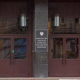 Вопрос с Первым Курильским предложили решить через закон