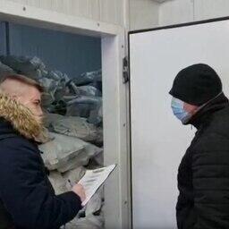 В Лабытнанги перед судом предстанут мужчины, обвиняемые в покупке и хранении немаркированной рыбной продукции. Кадр оперативной съемки с сайта СУ СК РФ по ЯНАО