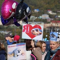 В Петропавловске-Камчатском прошел второй экологический фестиваль «Море жизни». Фото пресс-службы правительства Камчатки