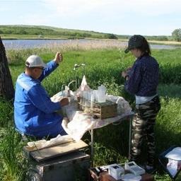 Ученые обследовали 25 водоемов в Ростовской области. Фото пресс-службы АзНИИРХ