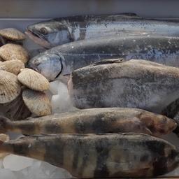 Российские рыба и морепродукты на выставке в Циндао, КНР