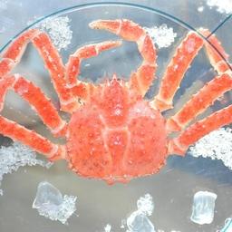 Перечень пополнится морскими морожеными ракообразными