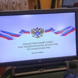 Общественный совет при Росрыболовстве подвел итоги двухлетней работы