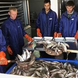 В Ямало-Ненецком автономном округе в разгаре летняя путина. Фото пресс-службы правительства ЯНАО